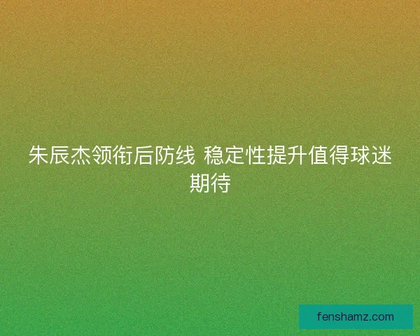 朱辰杰领衔后防线 稳定性提升值得球迷期待