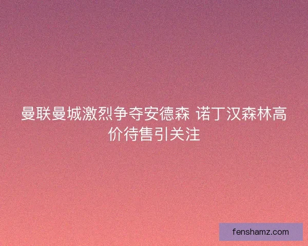 曼联曼城激烈争夺安德森 诺丁汉森林高价待售引关注